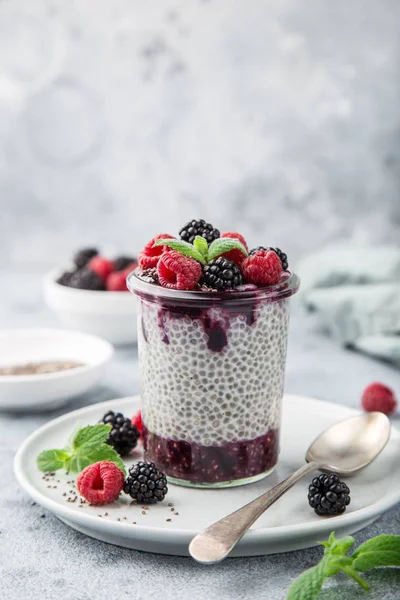 Chia Tohum Puding Berry Sos Taze Ahududu Böğürtlen Cam Seçici — Stok fotoğraf