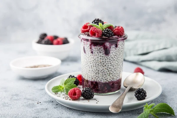 Chia Tohum Puding Berry Sos Taze Ahududu Böğürtlen Cam Seçici — Stok fotoğraf