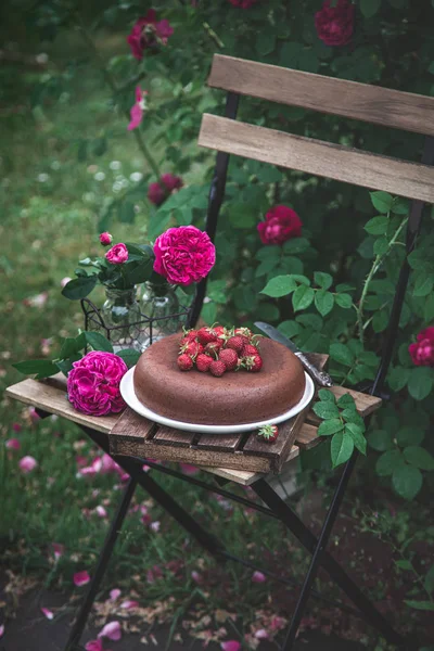 Delicious summer chocolate cake wiyh fresh strawberry — Stock Photo, Image