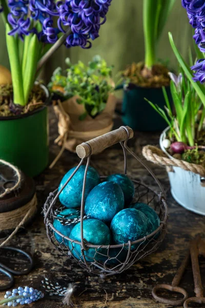 Telur Paskah biru di keranjang antik dengan bunga hiacinth musim semi — Stok Foto