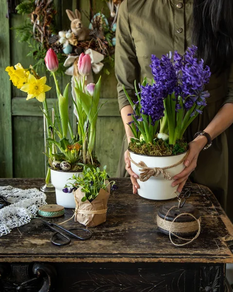 Schöne Frühlingsblumen (Hiazinthe, Narzisse, Veilchen und Tulpen) — Stockfoto