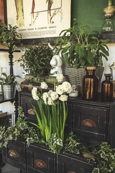 Hermosas flores de primavera y muebles y decoración vintage — Foto de Stock