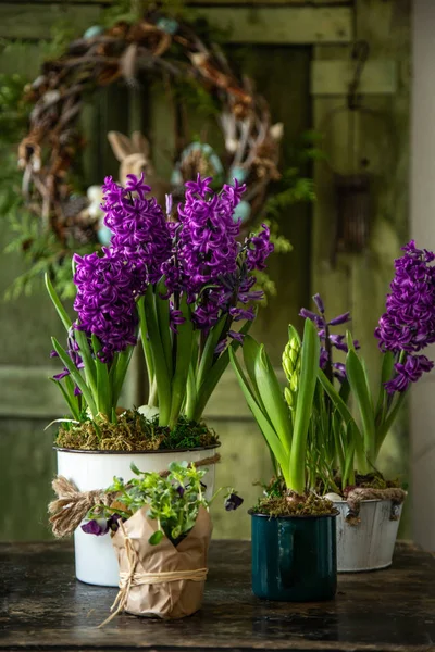 Hermosas flores de hiacinto de primavera en fondo rústico — Foto de Stock