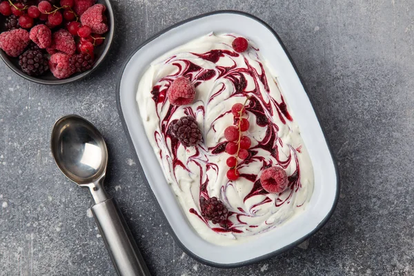 Vanilla and berry ice cream — Stock Photo, Image