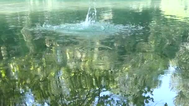 Slow Motion Stone Thrown Water Surface Slow Motion Creating Water — Stock Video