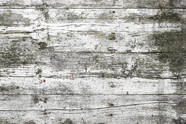 Texture Bois Blanc Avec Des Traces Pelage Moisissure Idéal Pour — Photo