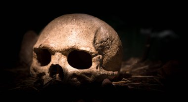 Yumuşak ışıkla aydınlatılmış korkunç kafatası. Arka plan, karanlık. Kavramları ve Etkinlikler için idealdir.