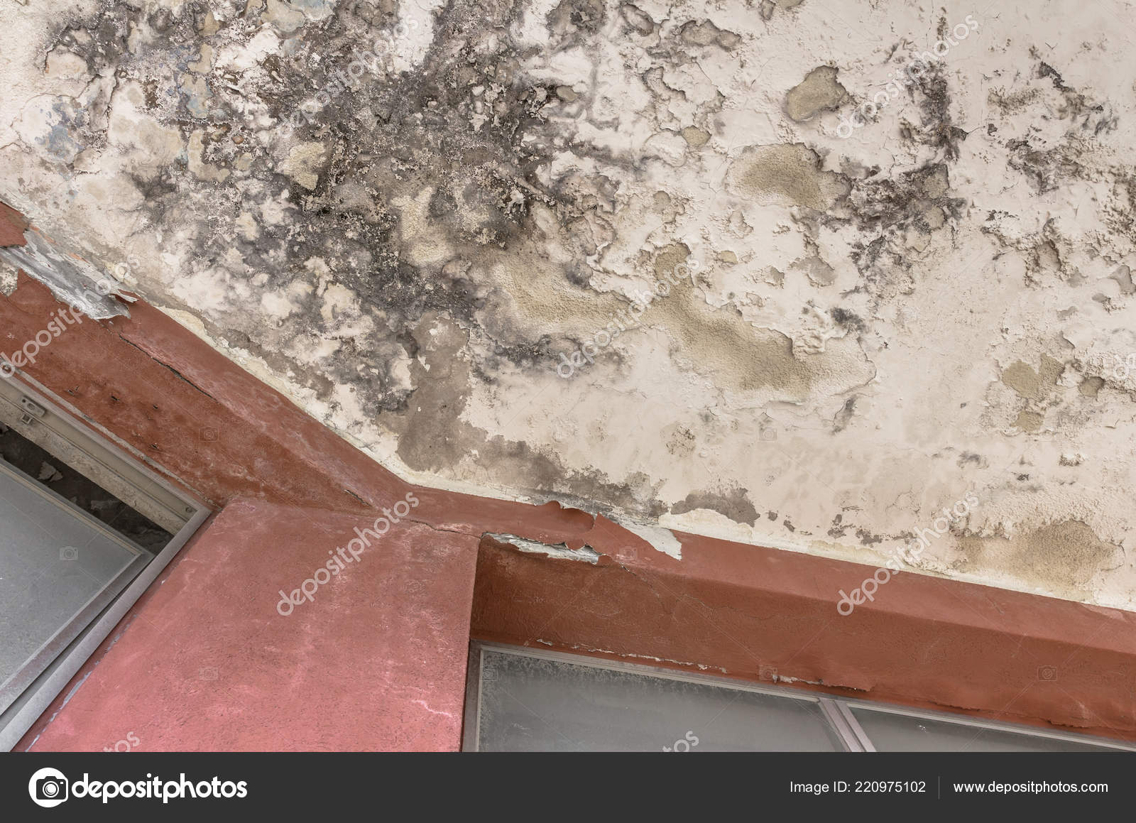 Pictures Basement Wet Bars Black Mold Growth Stains Ceiling