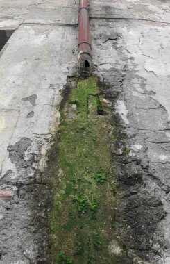 Yağmur suyu duvarda küf neden ve soyulması boya.