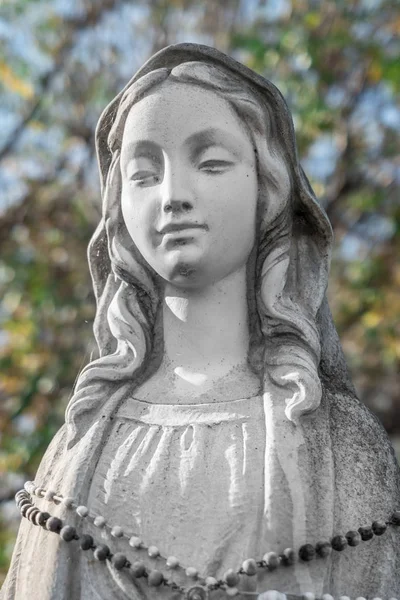 Estátua Virgem Maria Fundo Embaçado Desfocado Várias Árvores Verdes Ideal — Fotografia de Stock