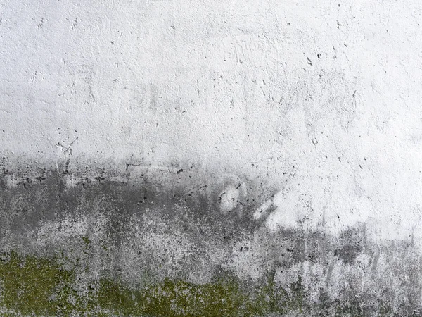 벽 형 — 스톡 사진