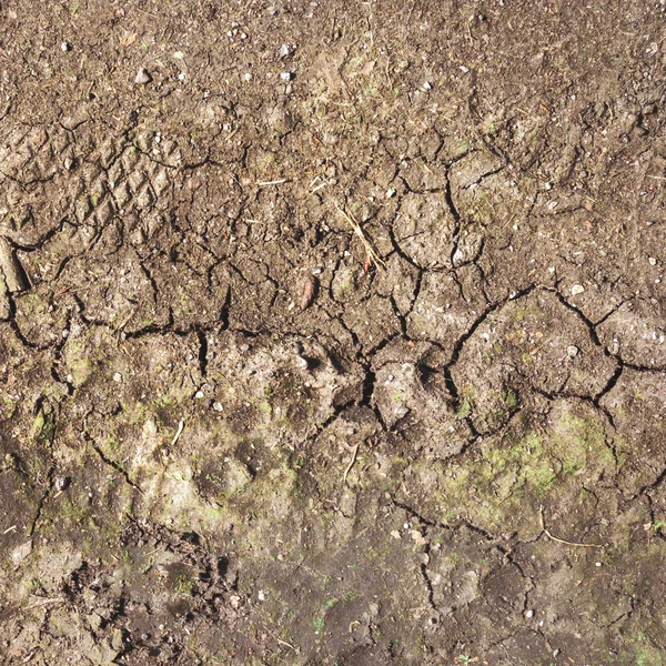 뒤죽박죽 부서진 사막의 갈라진 가뭄의 온난화 훼손으로 — 스톡 사진