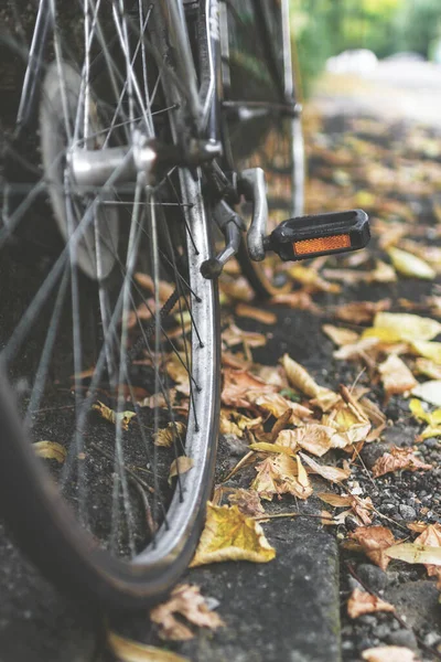 Vélo Urbain Stationné Sur Trottoir Couvert Feuilles Tombées Roue Vélo — Photo