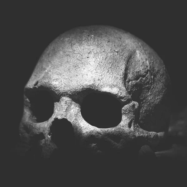 Viejo Cráneo Cráneo Humano Real Sobre Fondo Oscuro Fondo Negro — Foto de Stock