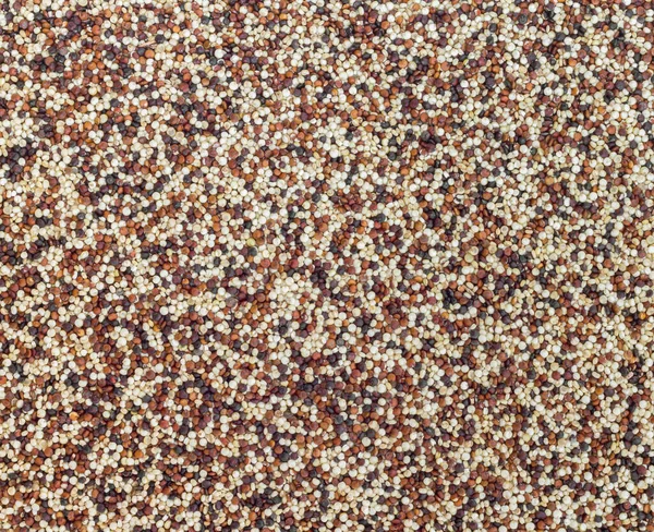 Vegyes Piros Fehér Fekete Quinoa Mint Egy Elvont Háttér Textúra — Stock Fotó