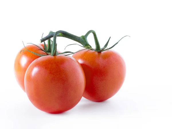 Tomaten Isoliert Auf Weißem Hintergrund Kopierraum — Stockfoto