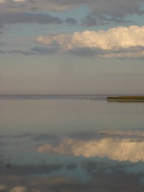 Buenos Aires kıyısındaki De La Plata Nehri