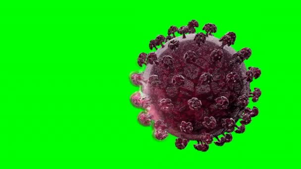 Äkta Sars Covid Virus Som Dödats Läkemedel Eller Vaccin — Stockvideo