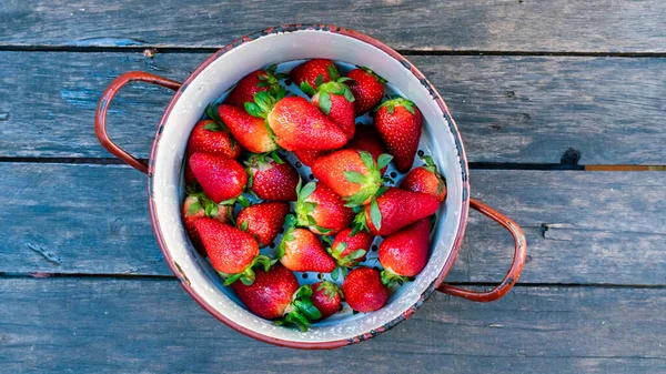 Spring Time Strawberries Fruits Home Garden Chemicals Poisons Healthy Raw — Stock Photo, Image