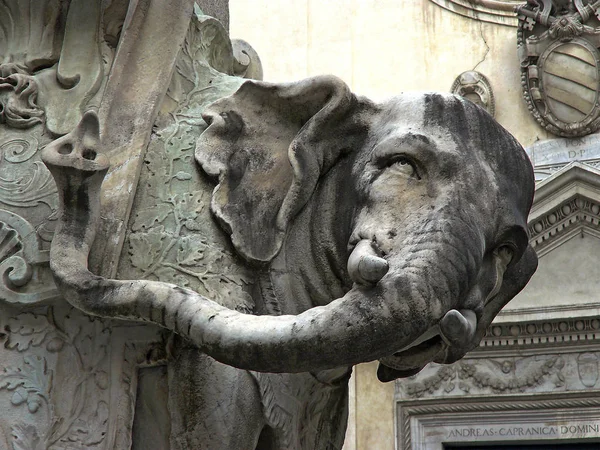 Roma (İtalya). Piazza della Minerva'nın tarihi şehir merkezi Roma Bernini'nin fil.