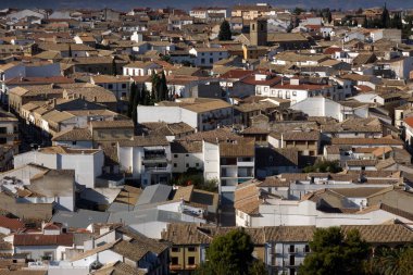 Baeza (Jaen) Ispanya. Baeza 'nın Nativity Katedrali 'nin çan kulesinden Baeza kasabasına genel bakış