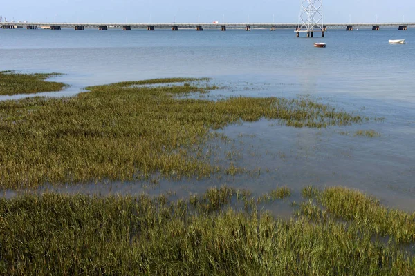 Palos Frontera Huelva Espagne Bouche Rio Tinto — Photo