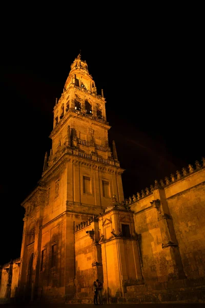 Cordoba Spanya Cordoba Katedrali Camii Çan Kulesi Gece Görünümü — Stok fotoğraf