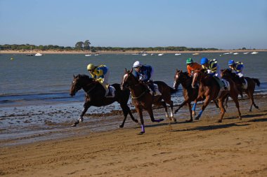 Sanlucar de Barrameda (Cadiz). İspanya. At yarışı Bajo de Guia içinde plaj kasaba Sanlucar de Barrameda
