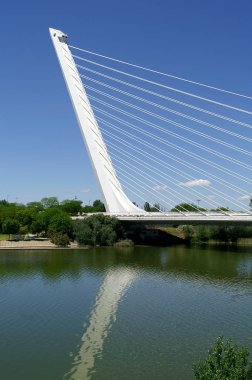 Sevilla (İspanya). Guadalquivir Nehri üzerinde Alamillo Köprüsü