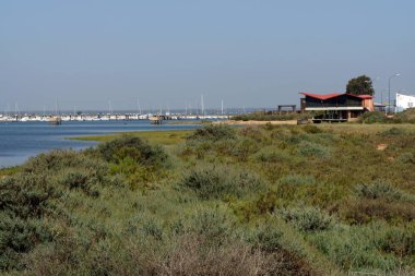 Palos de la Frontera (Huelva). Tinto nehir ağzı