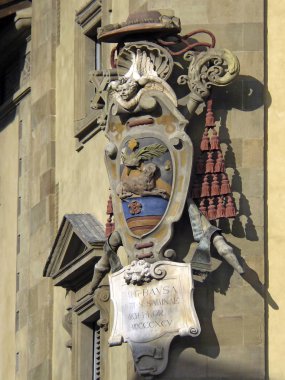 Malaga (İspanya). Grafiti kedi Malaga şehir duvar