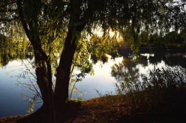 Gölde gün batımı manzarası