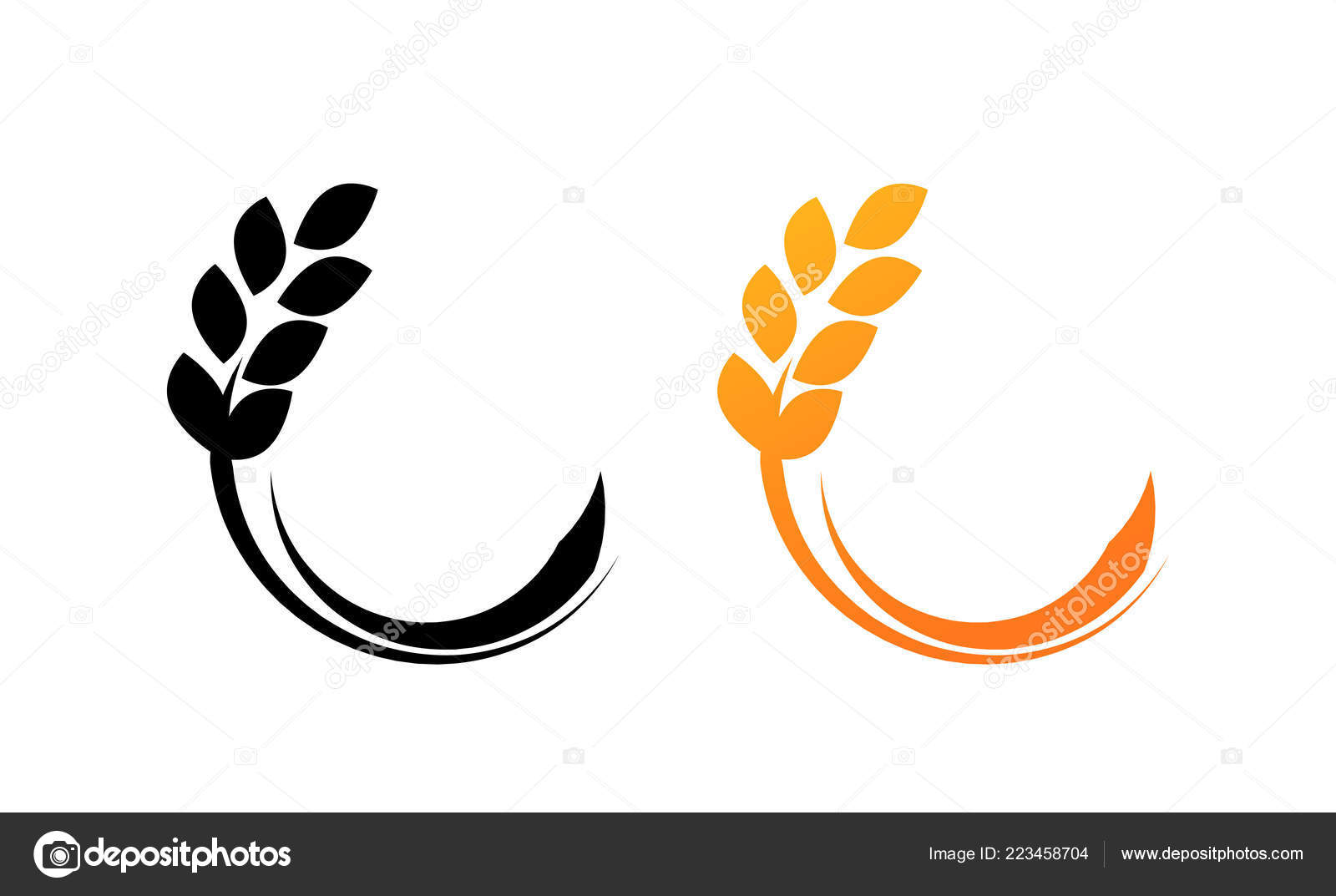 photo Trigo Vetor Png https depositphotos com 223458704 stock illustration ears of wheat vector illustration html