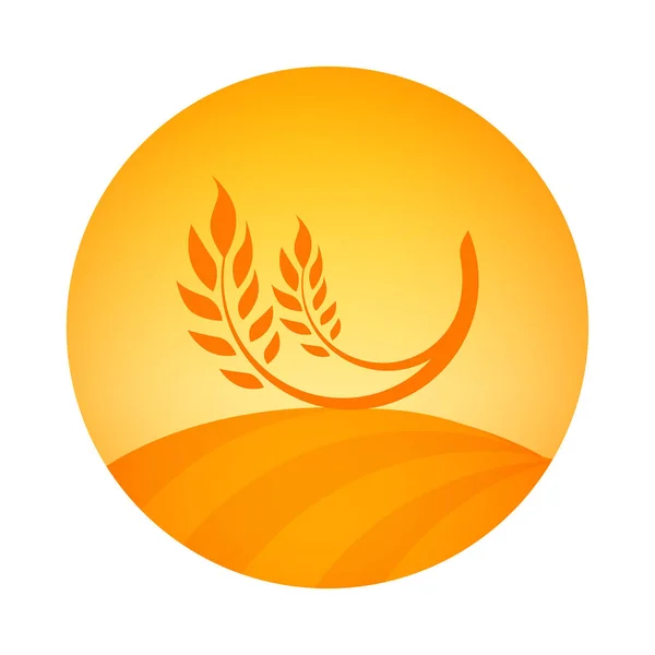 Logo rond emblème de la récolte de blé - Illustration d'étiquette vectorielle pour la ferme biologique céleste avec oreille de blé . — Image vectorielle