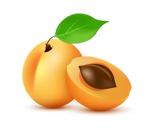 Ikon vektor Aprikot dengan gaya yang realistis - Ikon bergambar buah jus musim panas oranye dengan daun yang diisolasi berwarna putih - Stok Vektor