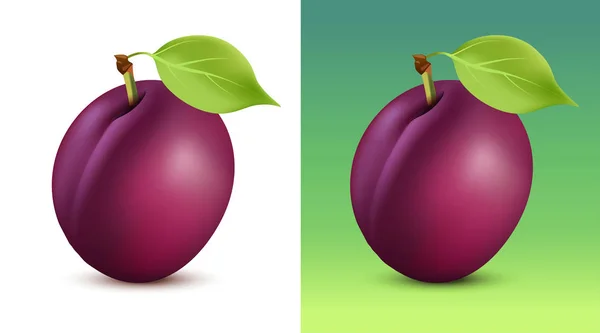 Illustrazione vettoriale di prugne su sfondo bianco e verde - frutta da vicino per il sito web del giardino o menu vegetariano — Vettoriale Stock