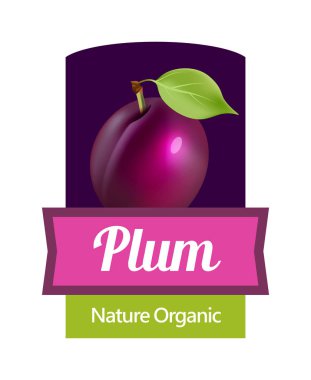 Reçel veya şarap için etiket - Erik vektör etiket sulu renkli tasarım.