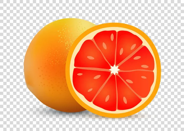 Grapefruit vector illustratie van transparante achtergrond - rijp smakelijke zoete realistische fruit. — Stockvector