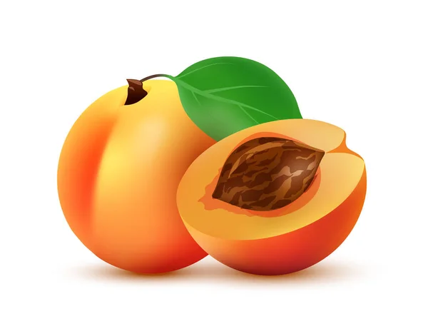 Ilustración de fruta de melocotón medio y entero - Icono vectorial aislado en blanco . — Vector de stock