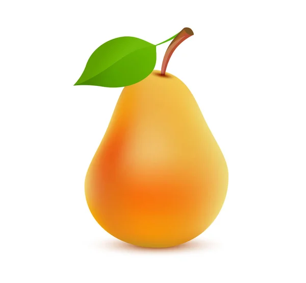 Cor de pêra de laranja inteira única no fundo branco - Ilustração realista vetorial de frutas suculentas saborosas . — Vetor de Stock