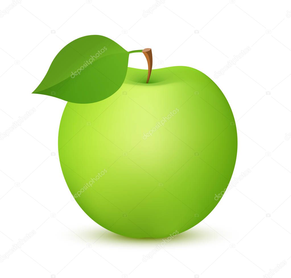 Apple fruit green color, Realistic vector icon illustration isolated on white background