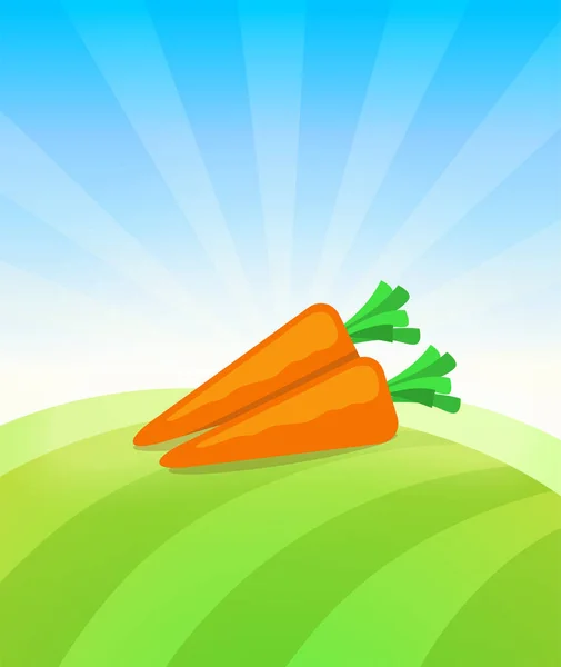 Modello banner con Carota - Manifesto commerciale di verdure . — Vettoriale Stock