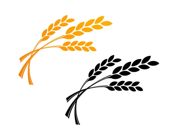 Agricultura trigo logotipo modelo. Design de ícone vetorial em dourado e preto —  Vetores de Stock