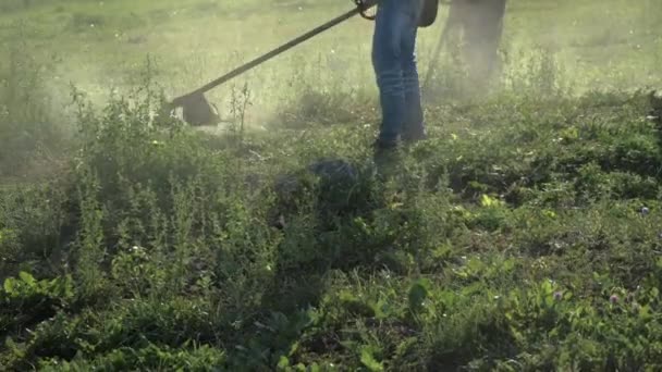 Εργάτες χλοοκοπτικών που κόβουν το πάρκο το βράδυ από την Υπηρεσία — Αρχείο Βίντεο