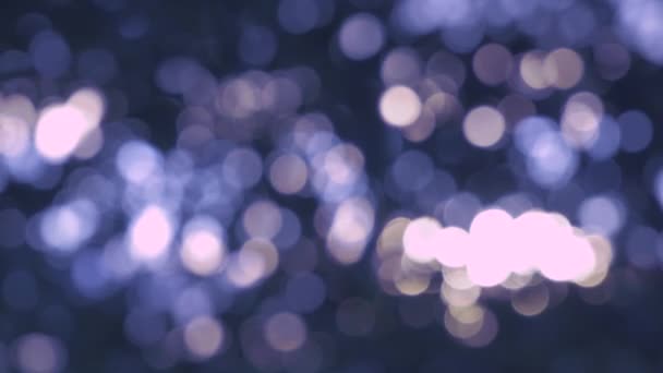 Noche de Luna bokeh en el bosque a través del follaje de los árboles — Vídeos de Stock