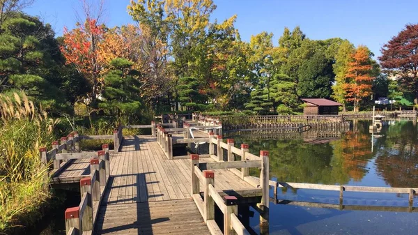Japon parkı Kitaku, Tokyo 'da. Tahta köprüler ve yapılar Japonya 'da tipik doğa ve manzarayla mükemmel bir uyum yaratırlar..