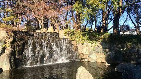 Şelale. Saitama Bölgesi, Japonya 'daki Maruyama Parkı.