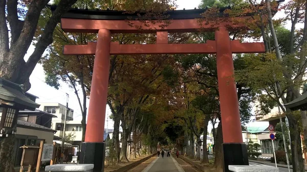 Omiya Parkı. Saitama Bölgesi. Japon Tapınağı Kapısı. Çoğunlukla Japon tapınakları ve tapınaklarının girişinde bulunur, Tori olarak bilinir. Sıradanlıktan kutsallığa geçişi işaret eder..