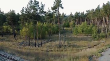 Tren yolu ve orman üzerinde insansız hava aracı uçuşu, ormanın, şehrin ve dağların açık manzarasıyla. Hava görünümü.