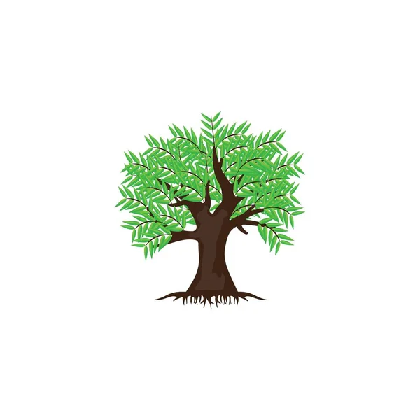 Plantilla Ilustración Del Logotipo Root Tree — Vector de stock